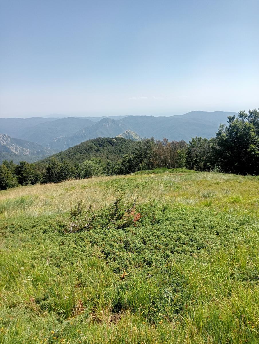 Dal Rif.Donegani a Lagonero passando per sopra l'orrido di botri - foto 11