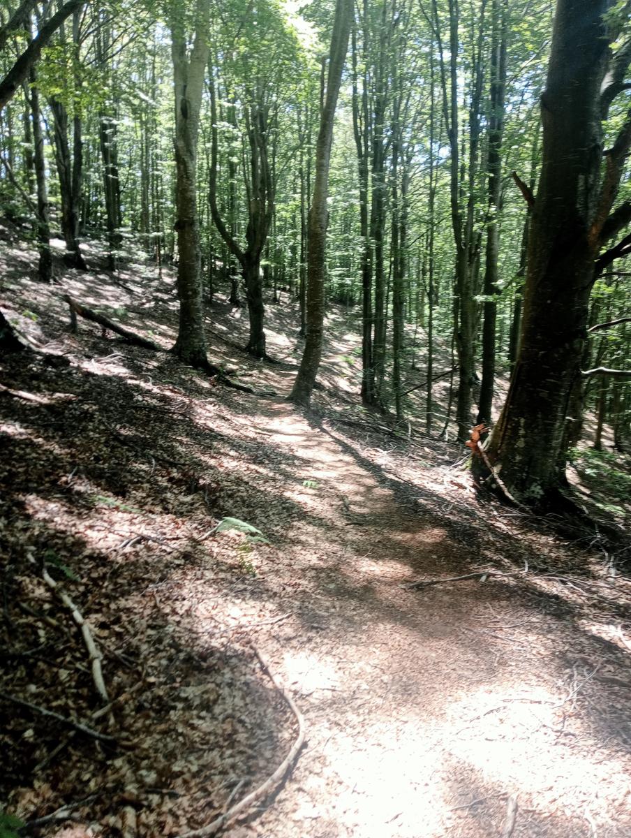 Dal Rif.Donegani a Lagonero passando per sopra l'orrido di botri - foto 15