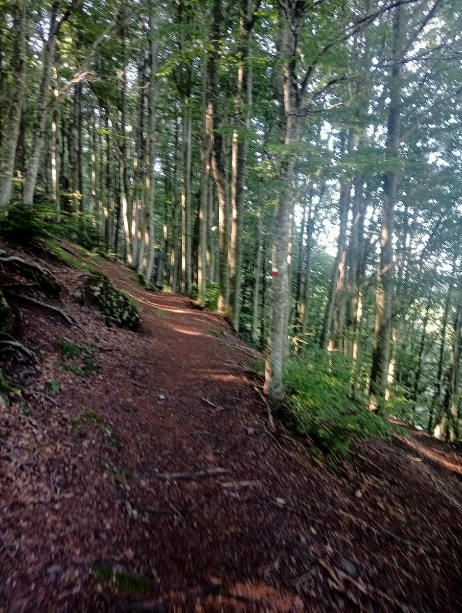 Dal Rif.Donegani a Lagonero passando per sopra l'orrido di botri - foto 24