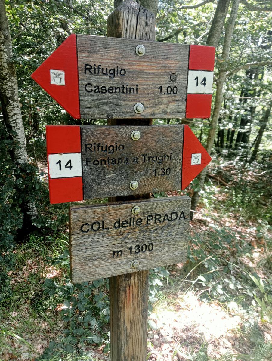 Dal Rif.Donegani a Lagonero passando per sopra l'orrido di botri - foto 27