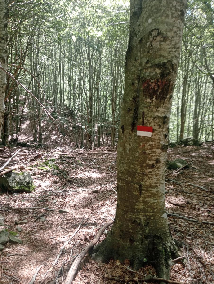 Dal Rif.Donegani a Lagonero passando per sopra l'orrido di botri - foto 28
