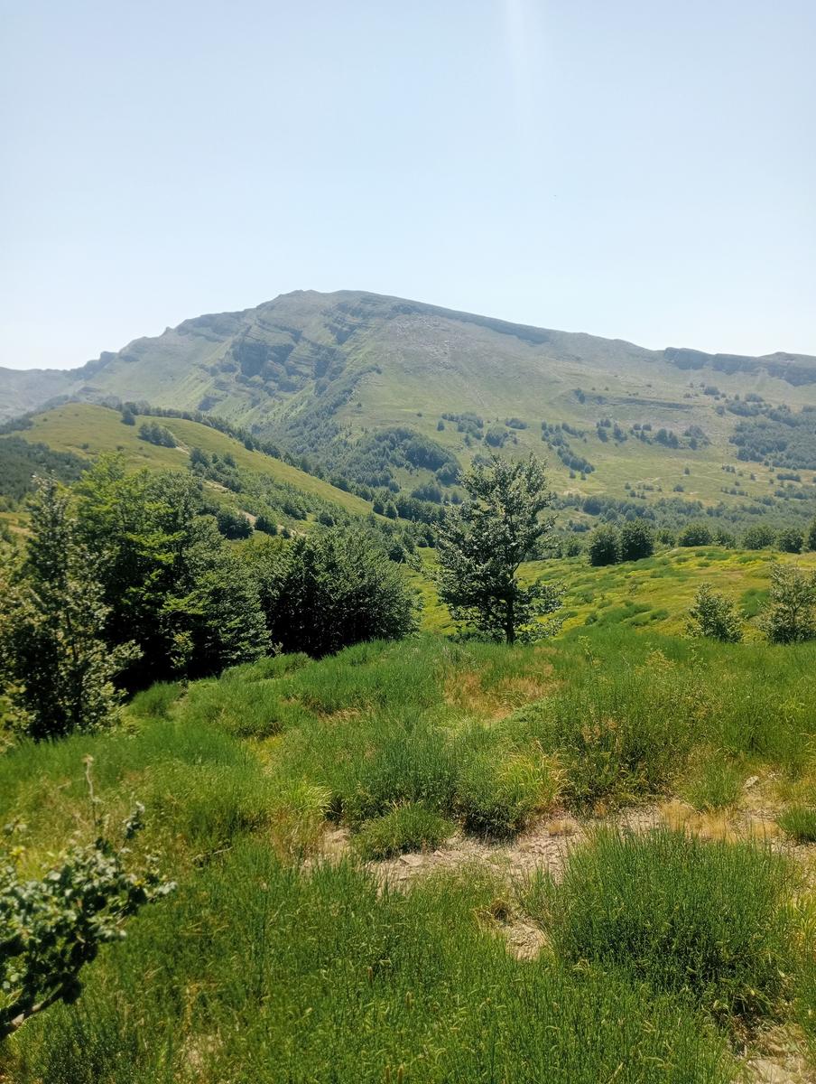 Dal Rif.Lago AL Rif.Donegani passando per il Giovo e e la Nuda - foto 8