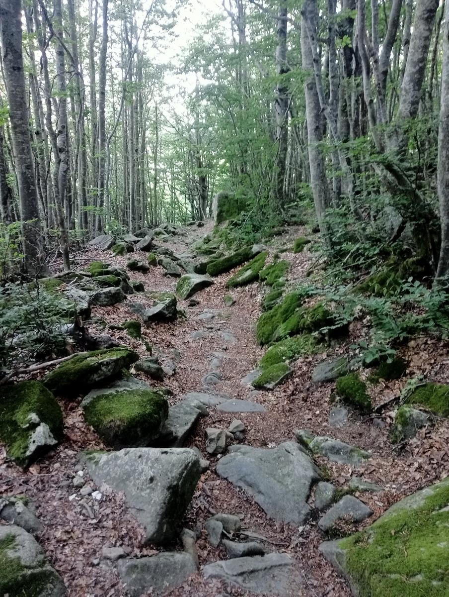 Dal Rif.Lago AL Rif.Donegani passando per il Giovo e e la Nuda - foto 10
