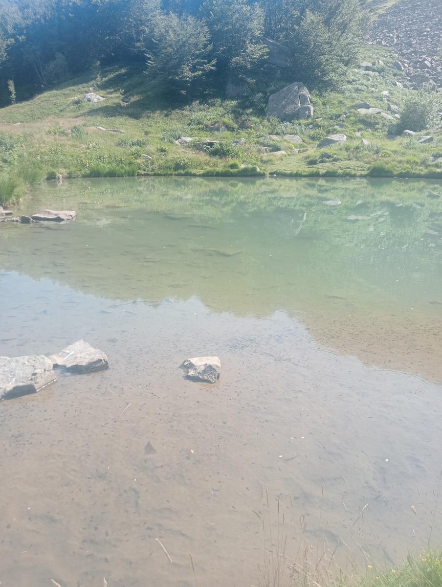 Dal Rif.Lago AL Rif.Donegani passando per il Giovo e e la Nuda - foto 23