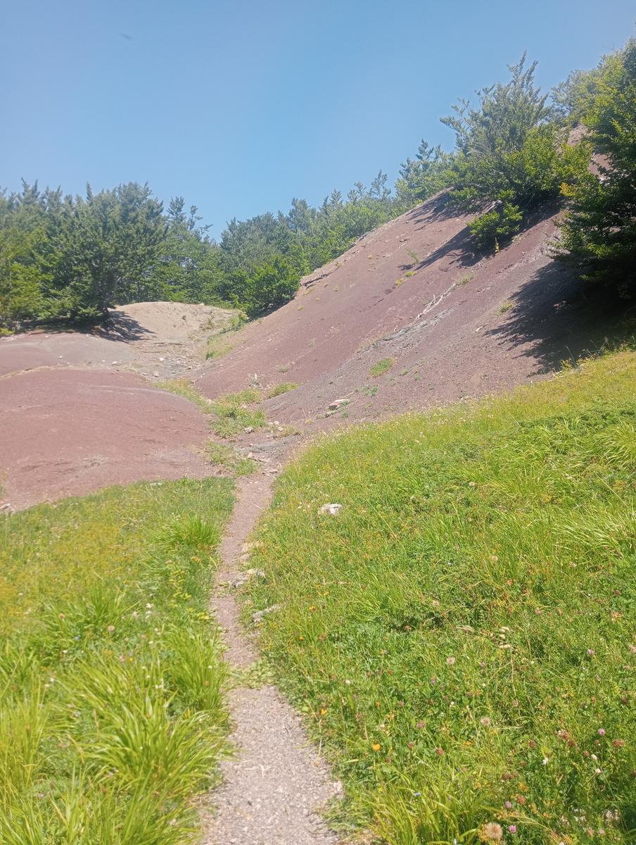 Dal Rif.Lago AL Rif.Donegani passando per il Giovo e e la Nuda - foto 29