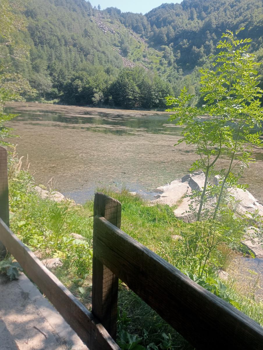 Dal Rif.Lago AL Rif.Donegani passando per il Giovo e e la Nuda - foto 31