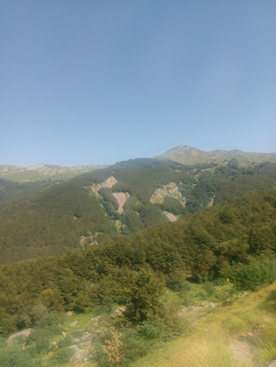 Dal Rif.Lago AL Rif.Donegani passando per il Giovo e e la Nuda - foto 33