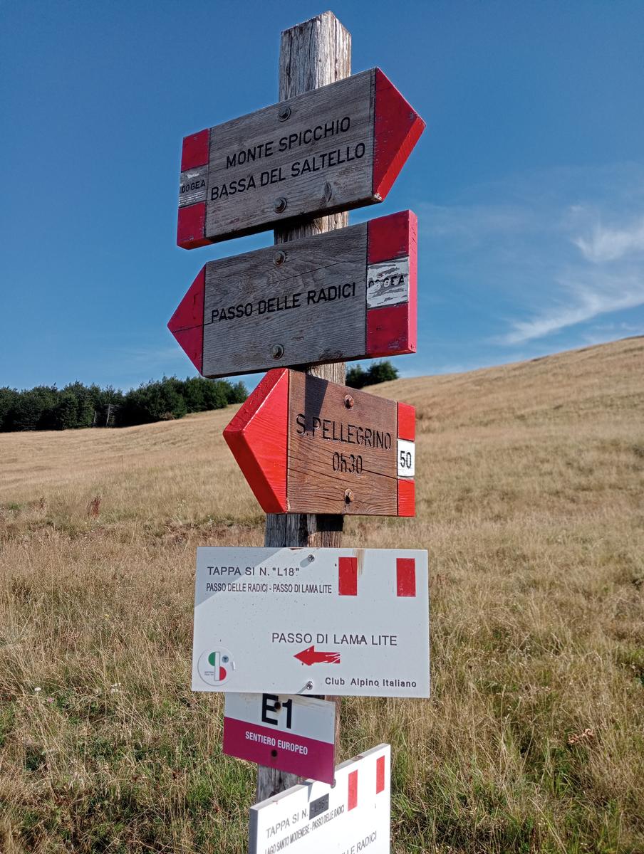 Passo del Saltello, Monte Romecchio e Rifugio Burigone da San Pellegrino in Alpe - foto 3