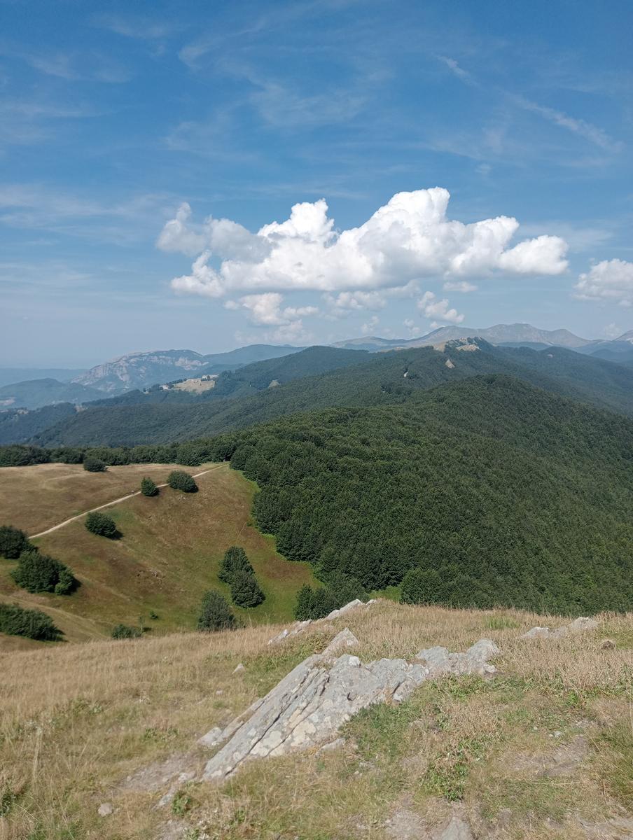 Passo del Saltello, Monte Romecchio e Rifugio Burigone da San Pellegrino in Alpe - foto 5