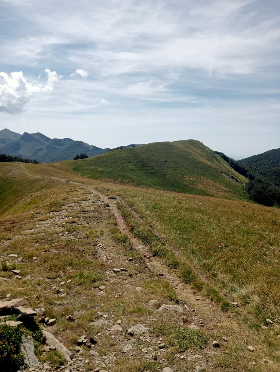 Passo del Saltello, Monte Romecchio e Rifugio Burigone da San Pellegrino in Alpe - foto 6