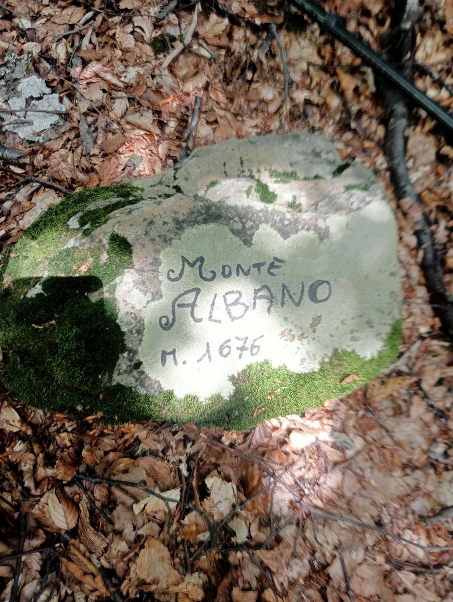 Passo del Saltello, Monte Romecchio e Rifugio Burigone da San Pellegrino in Alpe - foto 7