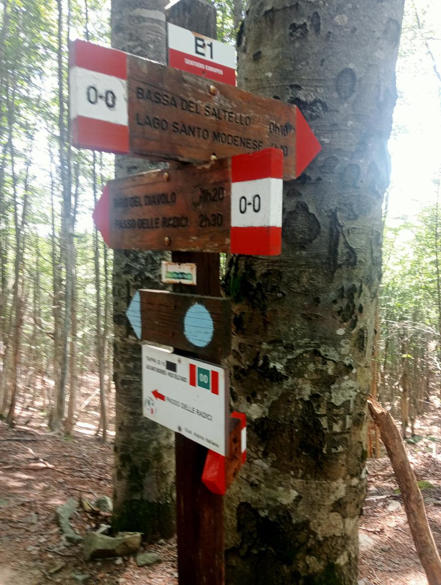 Passo del Saltello, Monte Romecchio e Rifugio Burigone da San Pellegrino in Alpe - foto 8