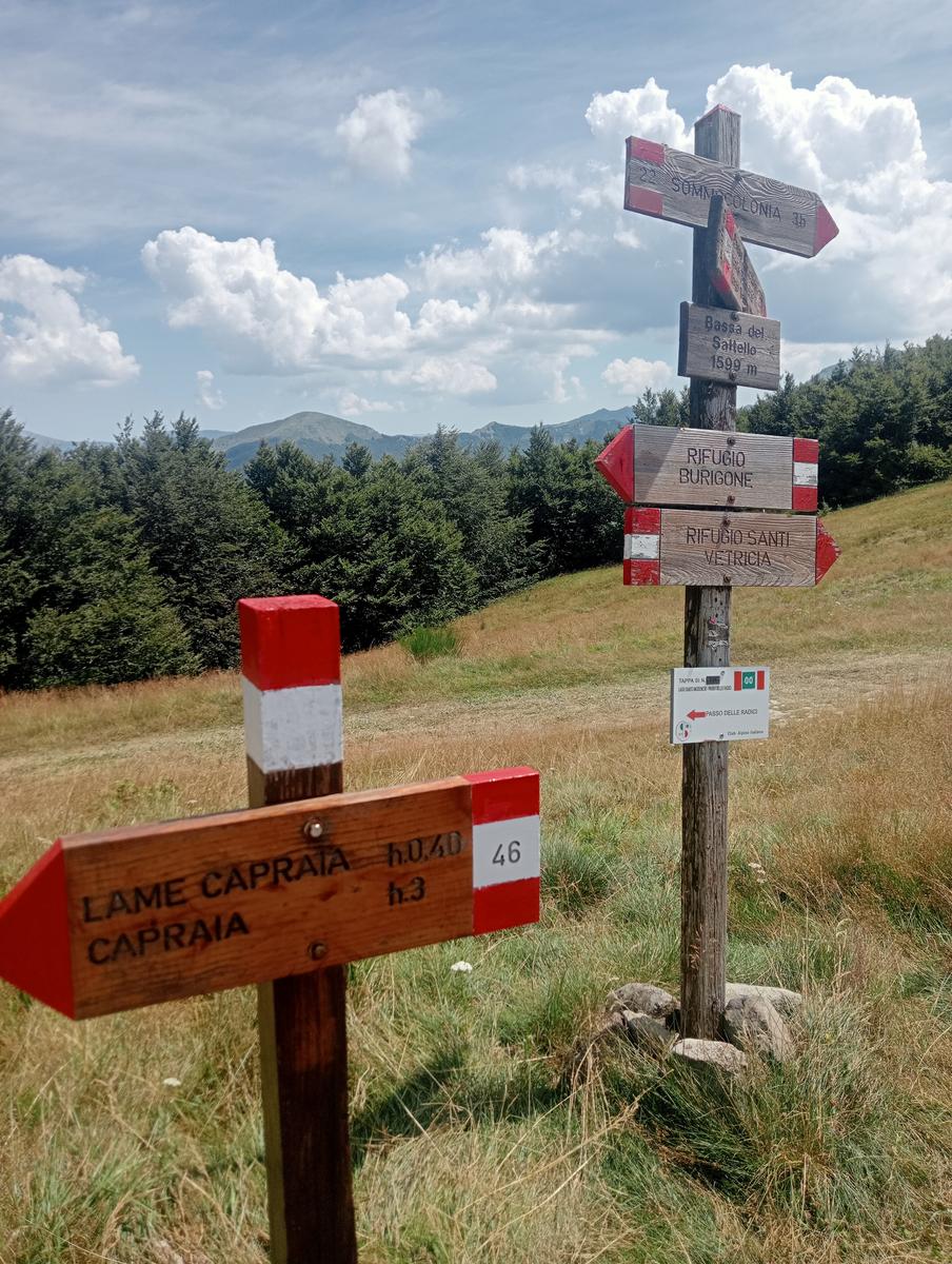 Passo del Saltello, Monte Romecchio e Rifugio Burigone da San Pellegrino in Alpe - foto 9