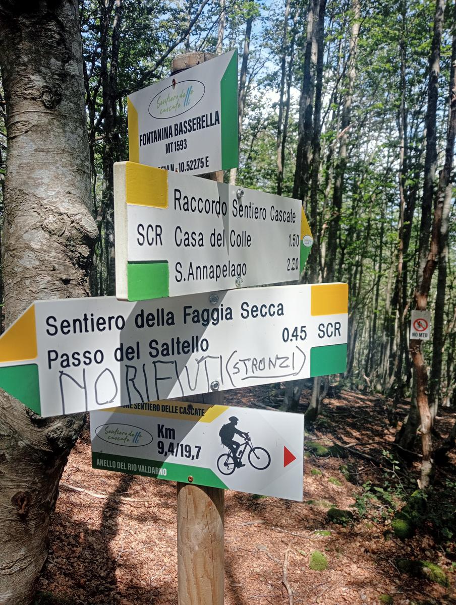 Passo del Saltello, Monte Romecchio e Rifugio Burigone da San Pellegrino in Alpe - foto 10