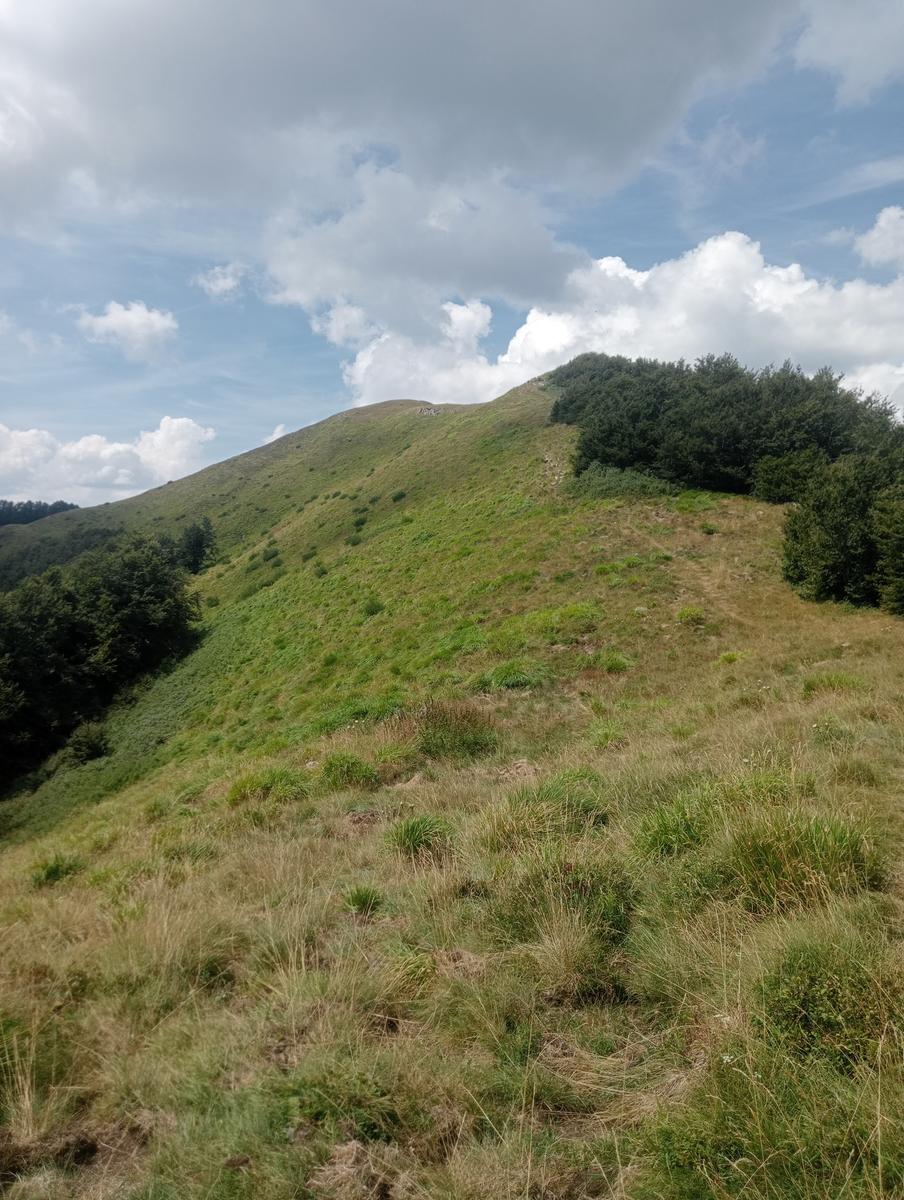 Passo del Saltello, Monte Romecchio e Rifugio Burigone da San Pellegrino in Alpe - foto 11