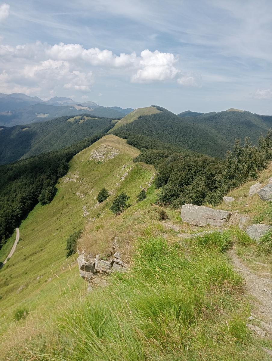 Passo del Saltello, Monte Romecchio e Rifugio Burigone da San Pellegrino in Alpe - foto 12