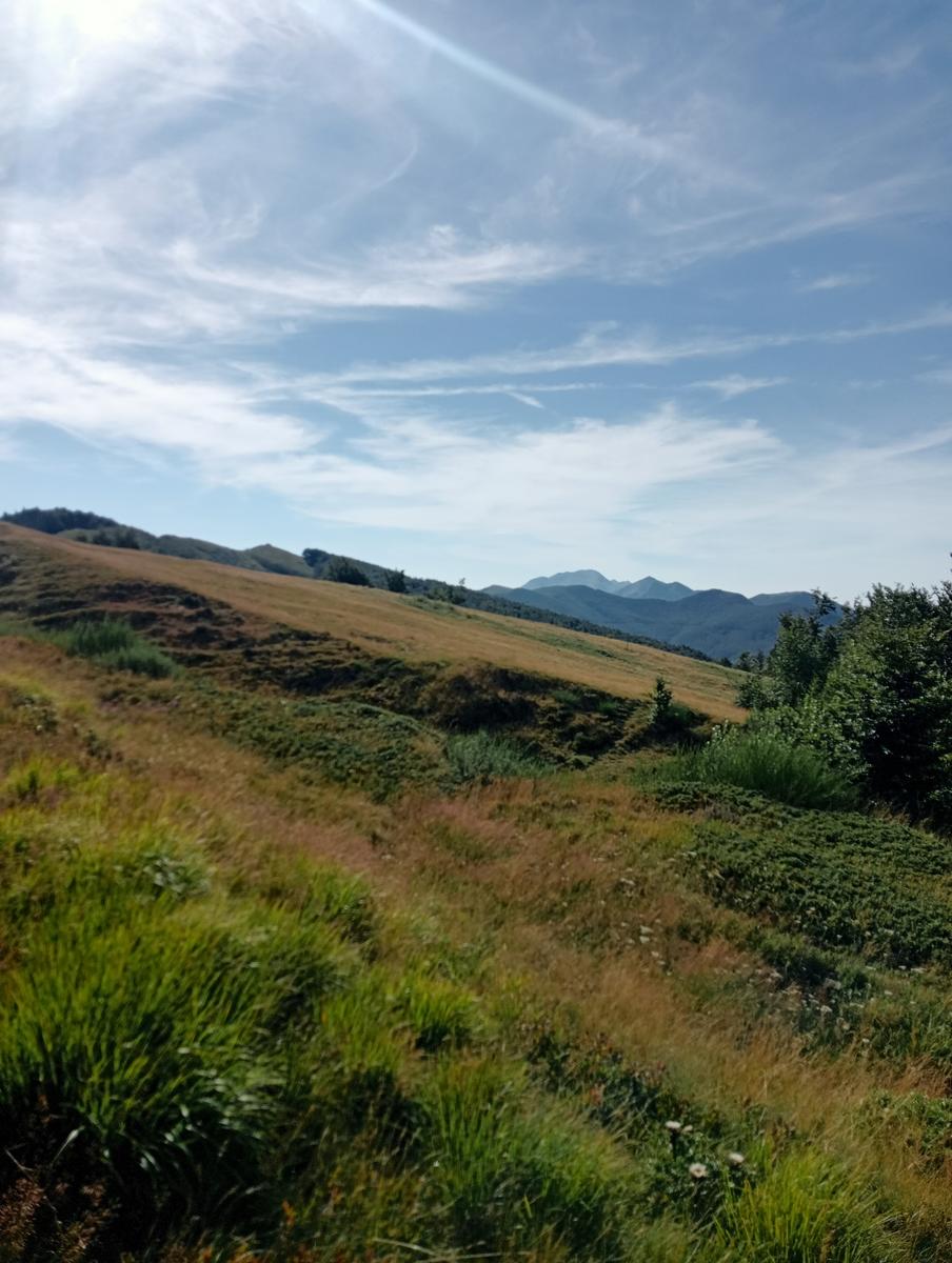 Passo del Saltello, Monte Romecchio e Rifugio Burigone da San Pellegrino in Alpe - foto 14