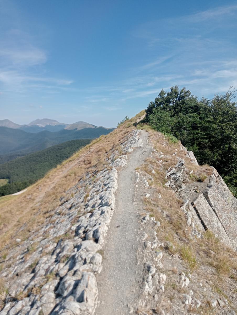 Passo del Saltello, Monte Romecchio e Rifugio Burigone da San Pellegrino in Alpe - foto 15