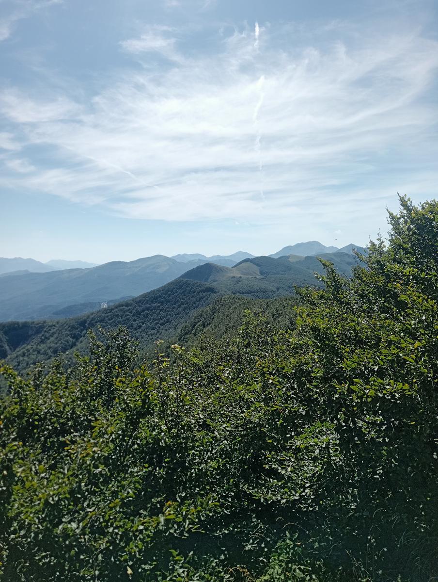 Passo del Saltello, Monte Romecchio e Rifugio Burigone da San Pellegrino in Alpe - foto 17