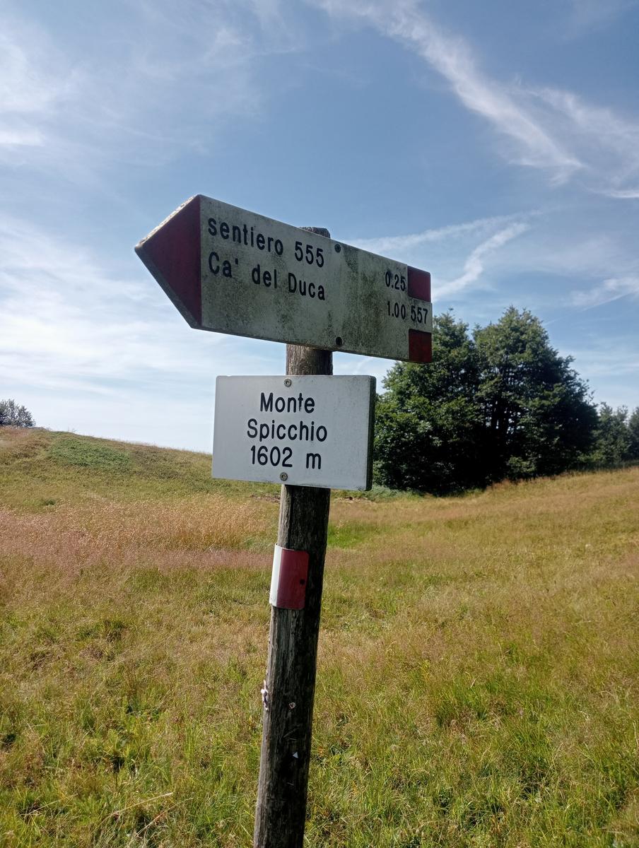 Passo del Saltello, Monte Romecchio e Rifugio Burigone da San Pellegrino in Alpe - foto 18