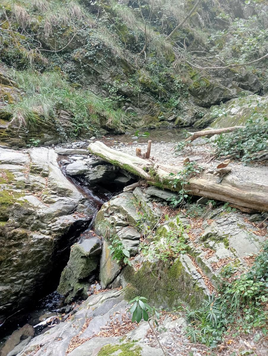 Cascate del Piscio e ponte della Colombara - foto 12