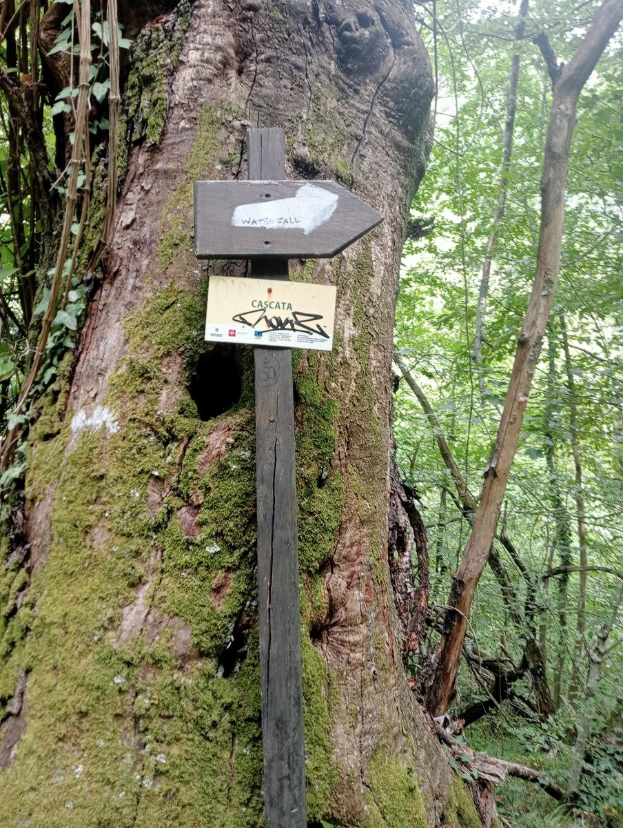 Cascate del Piscio e ponte della Colombara - foto 19
