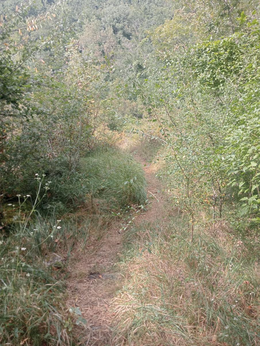 Risalita del Magra dal Lago Pallino al ponte Groppodalosio - foto 2