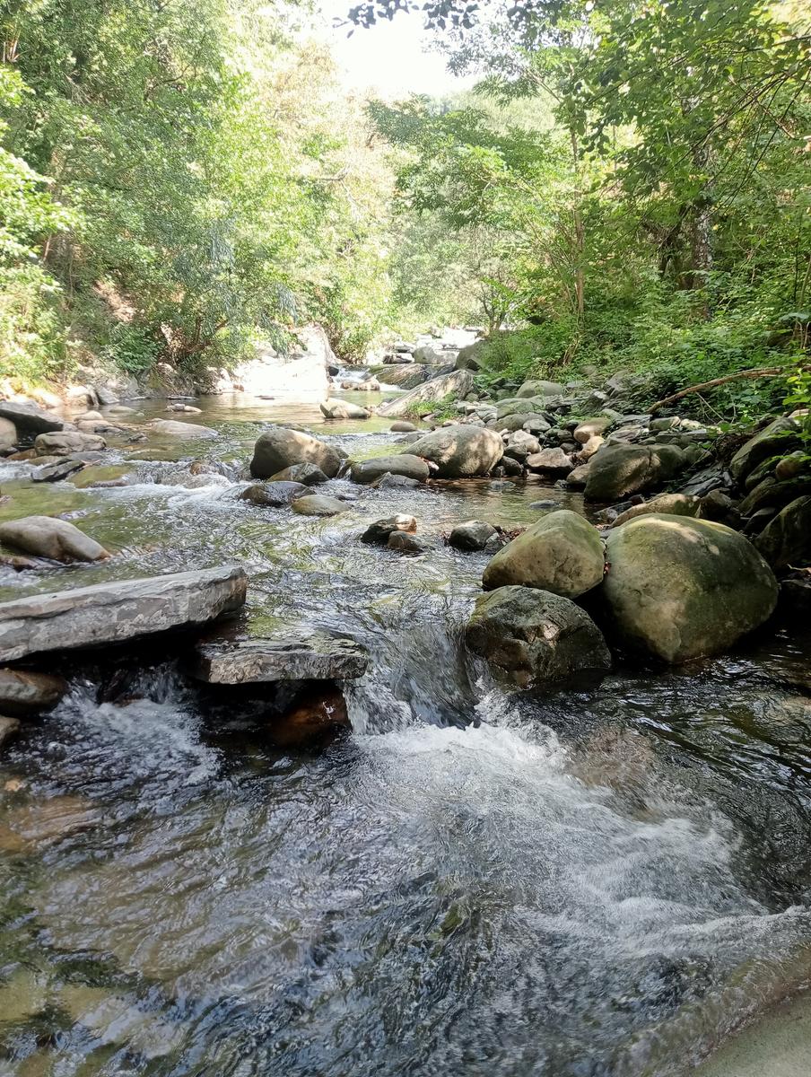 Risalita del Magra dal Lago Pallino al ponte Groppodalosio - foto 4