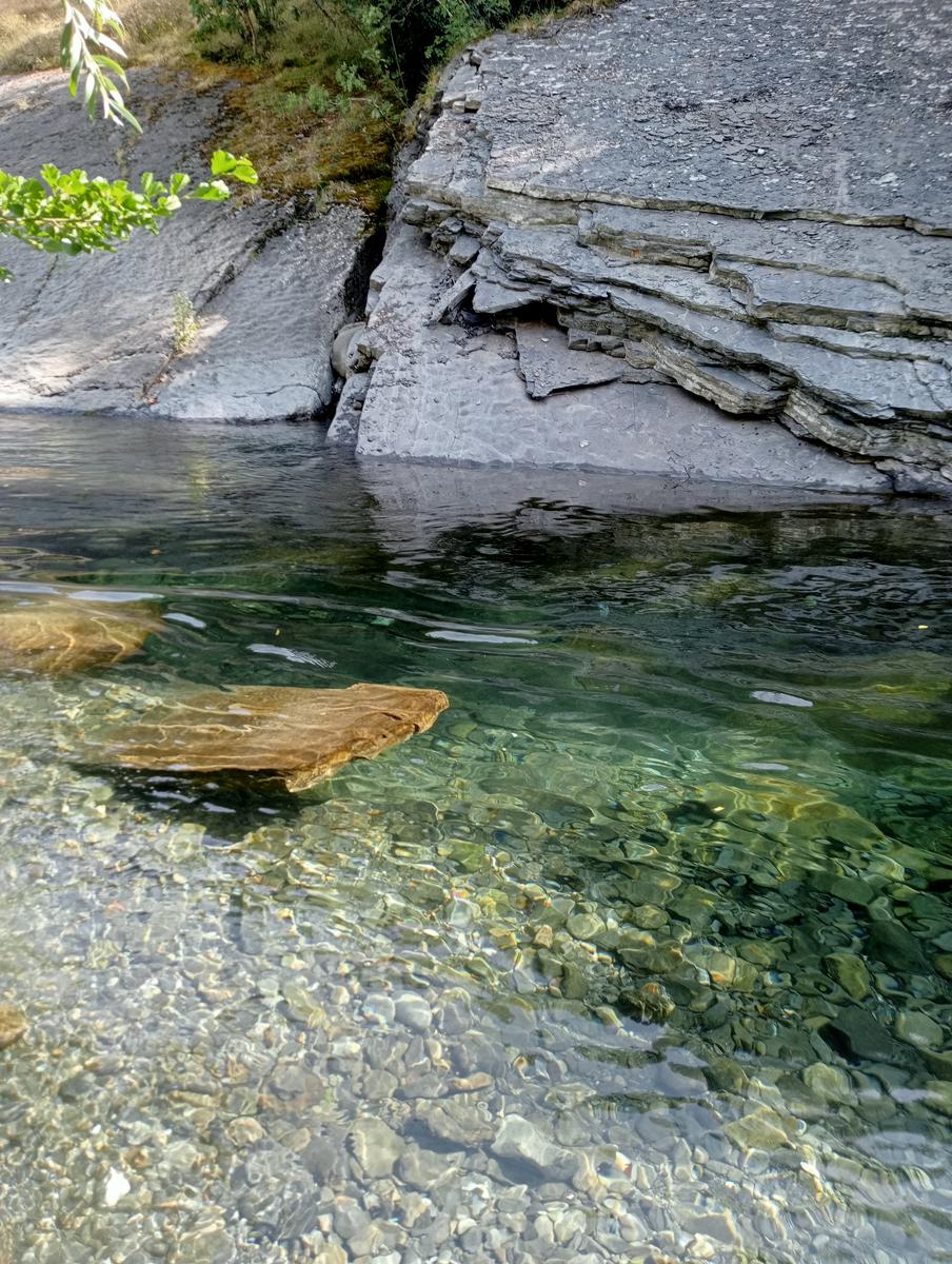 Risalita del Magra dal Lago Pallino al ponte Groppodalosio - foto 5