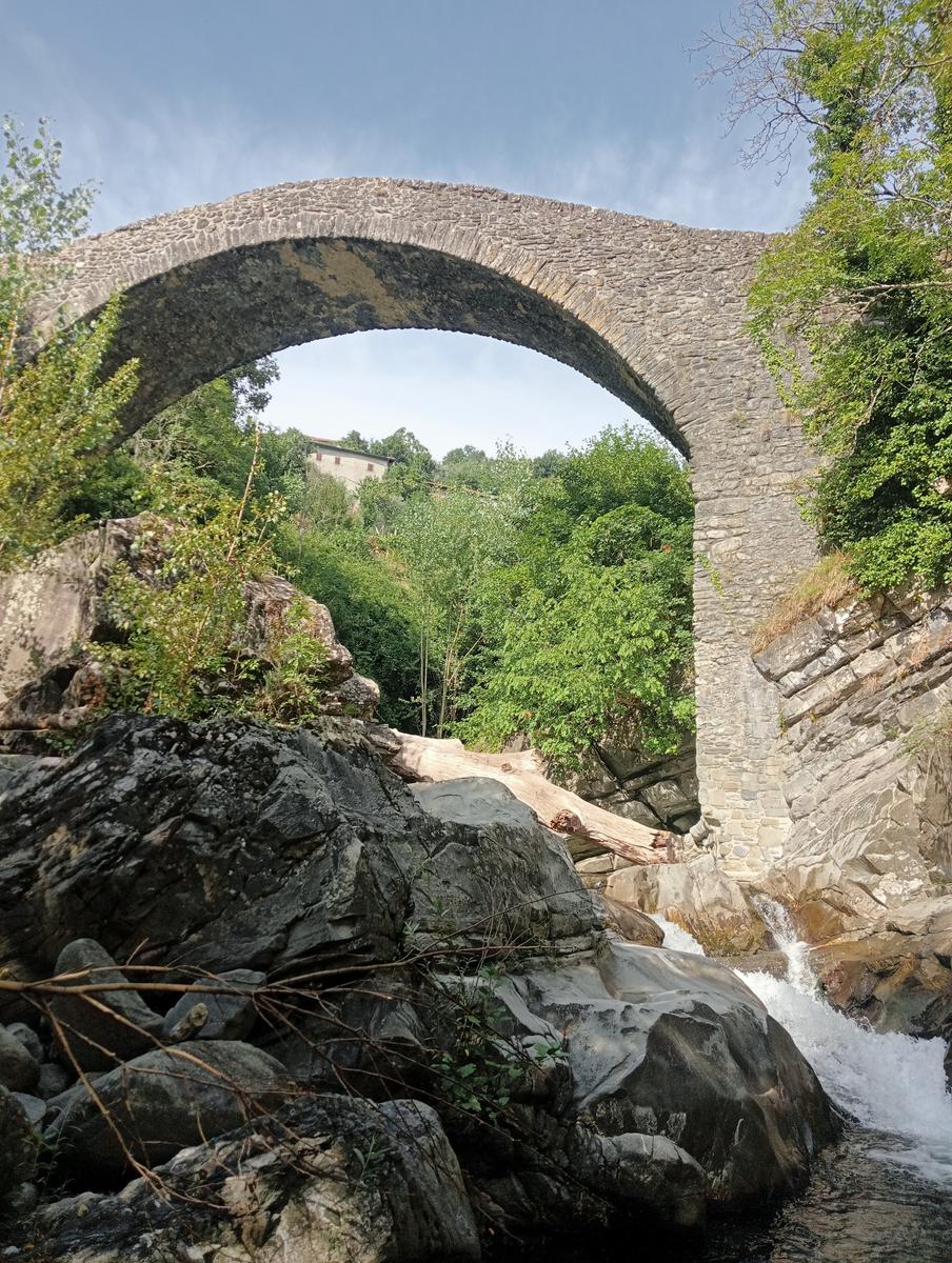 Risalita del Magra dal Lago Pallino al ponte Groppodalosio - foto 8