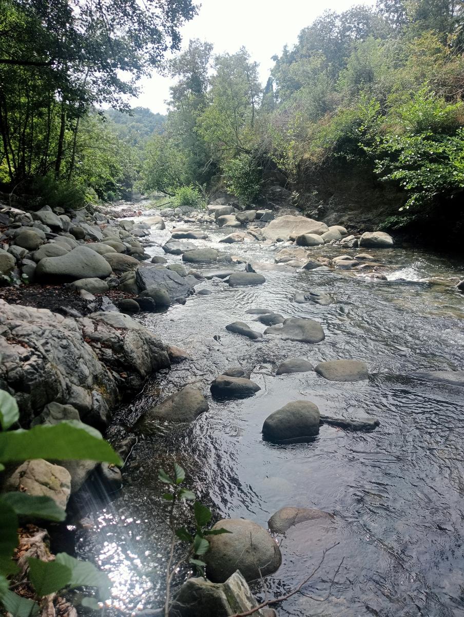 Risalita del Magra dal Lago Pallino al ponte Groppodalosio - foto 10