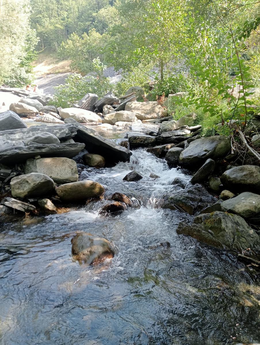 Risalita del Magra dal Lago Pallino al ponte Groppodalosio - foto 12