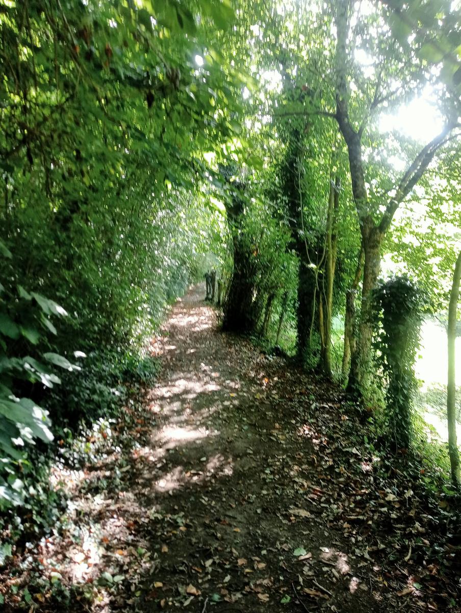 Risalita del Magra dal Lago Pallino al ponte Groppodalosio - foto 14