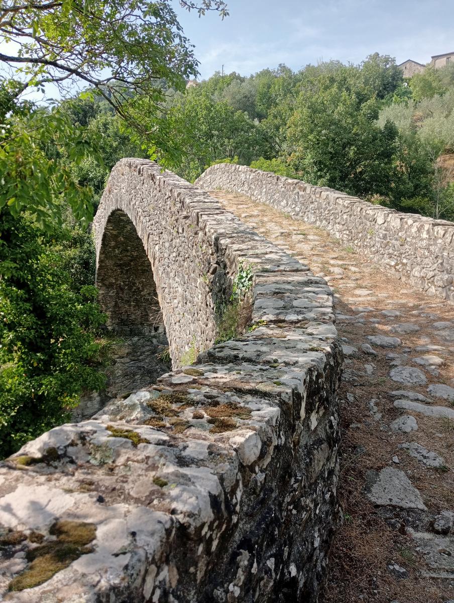 Risalita del Magra dal Lago Pallino al ponte Groppodalosio - foto 16