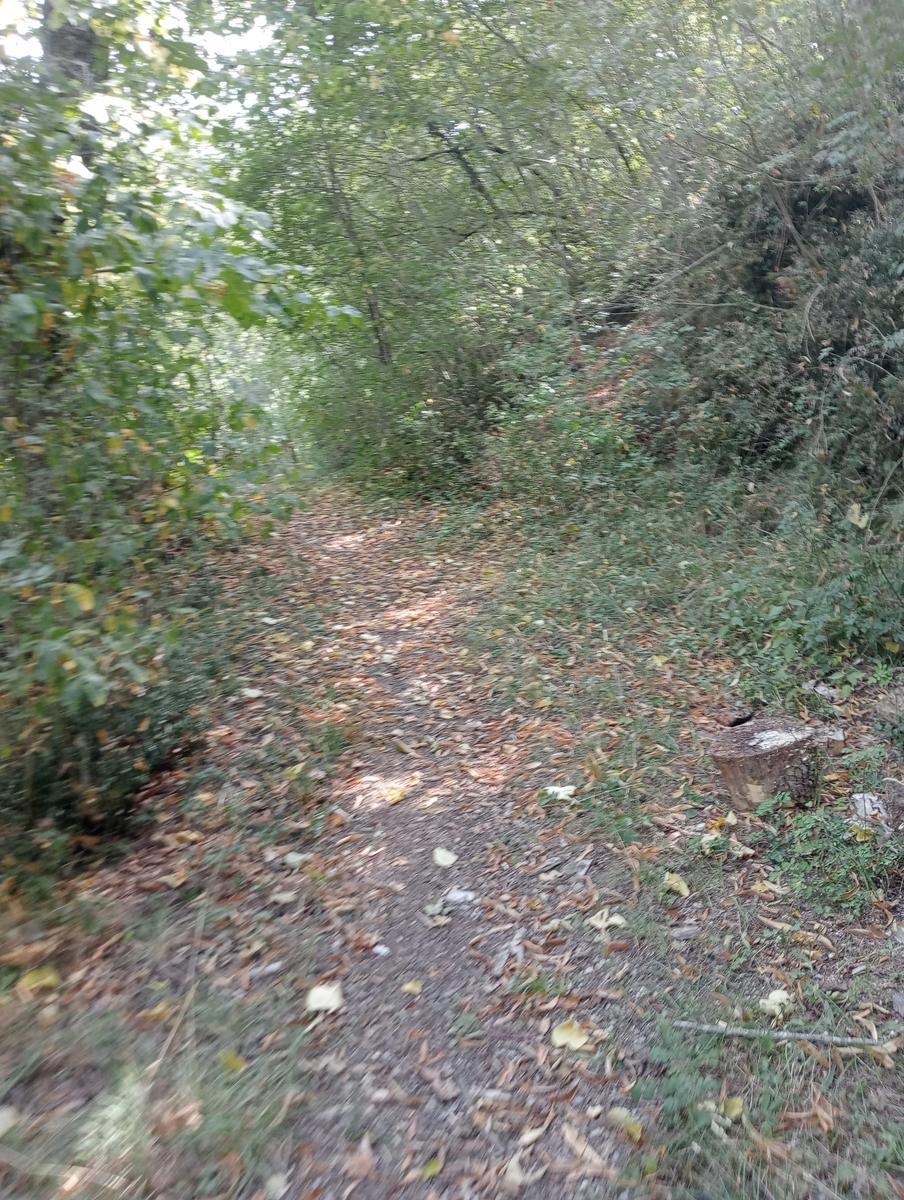 L'acqua salata di Bergondola, Cascata della duchessa