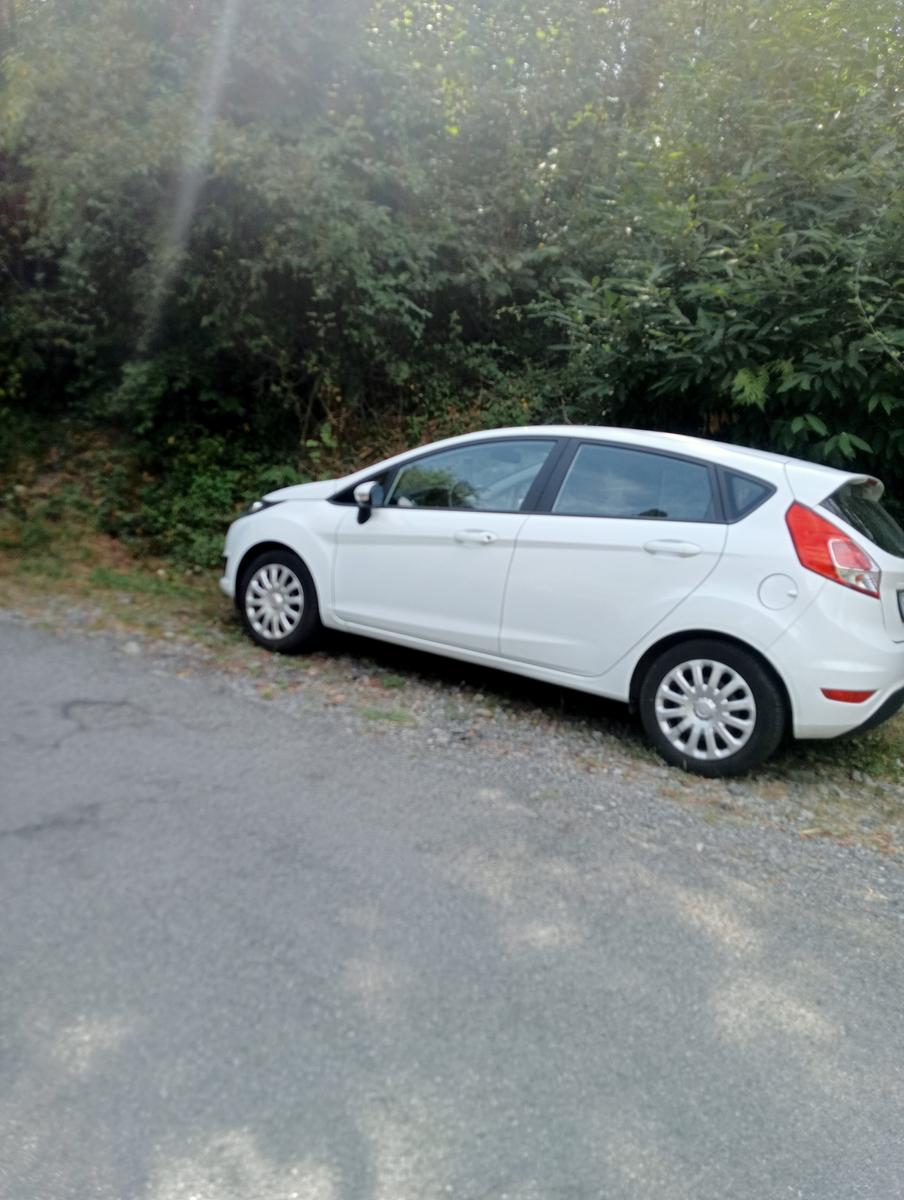 L'acqua salata di Bergondola, Cascata della duchessa - foto 2
