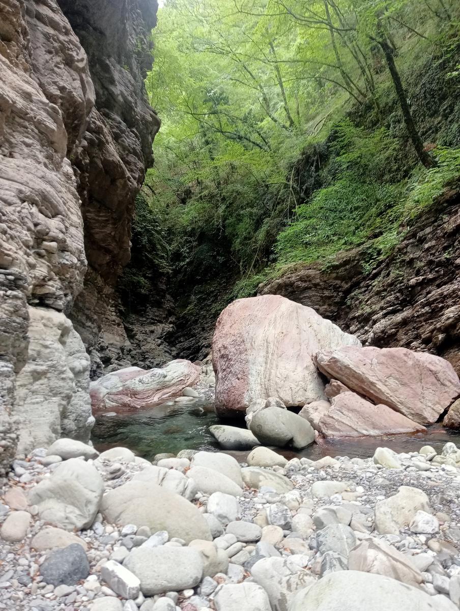 Cavezzana Gordana ~ Streggi di Giaredo - foto 2