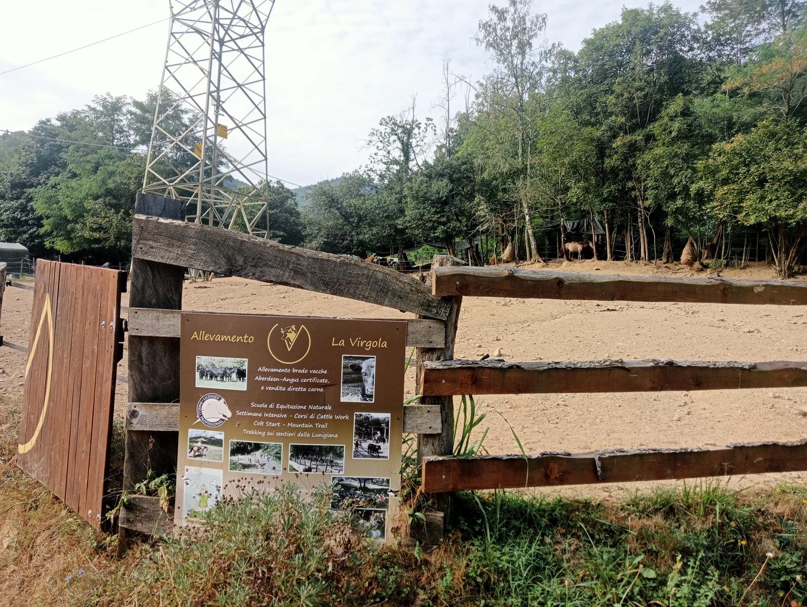 Cavezzana Gordana ~ Streggi di Giaredo - foto 5