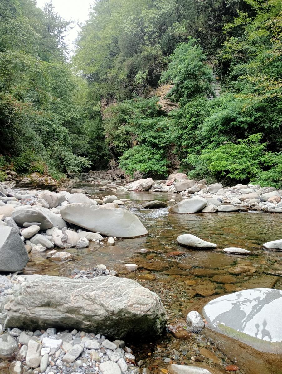 Cavezzana Gordana ~ Streggi di Giaredo - foto 12