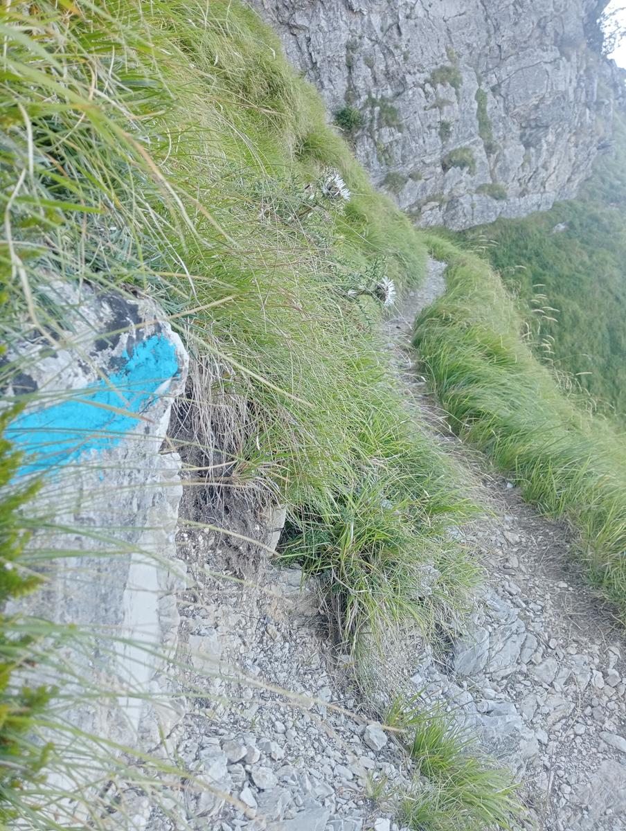 Corchia dal pirosetto - foto 4