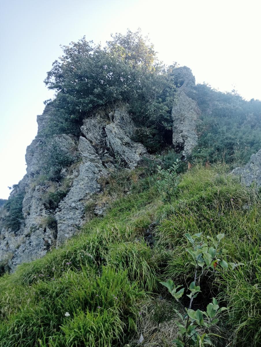 Corchia dal pirosetto - foto 16