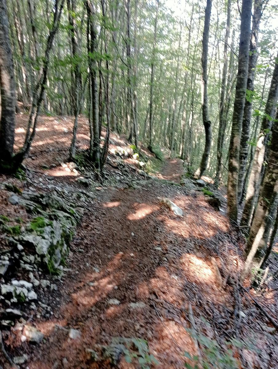 Corchia dal pirosetto - foto 23