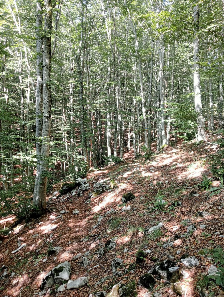 Pania di Corfino - foto 4