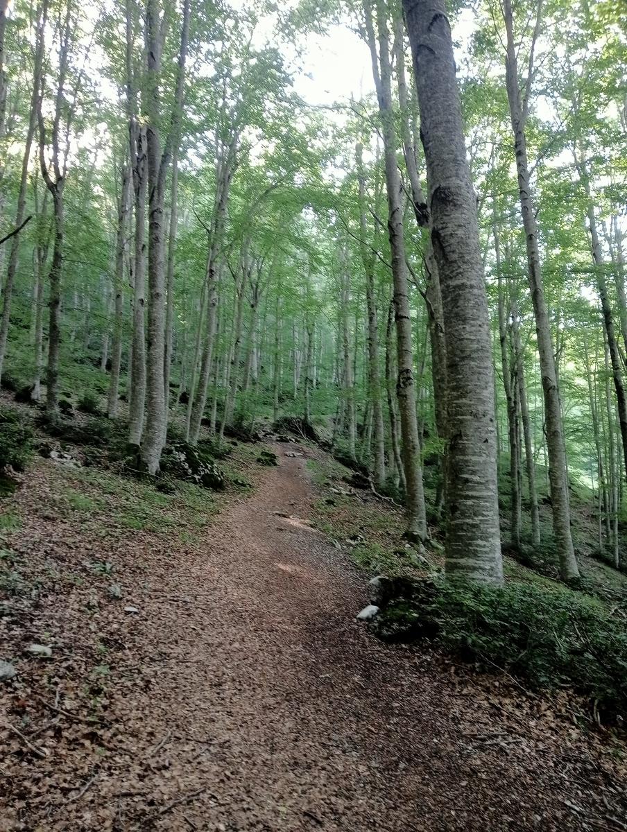 Pania di Corfino - foto 9