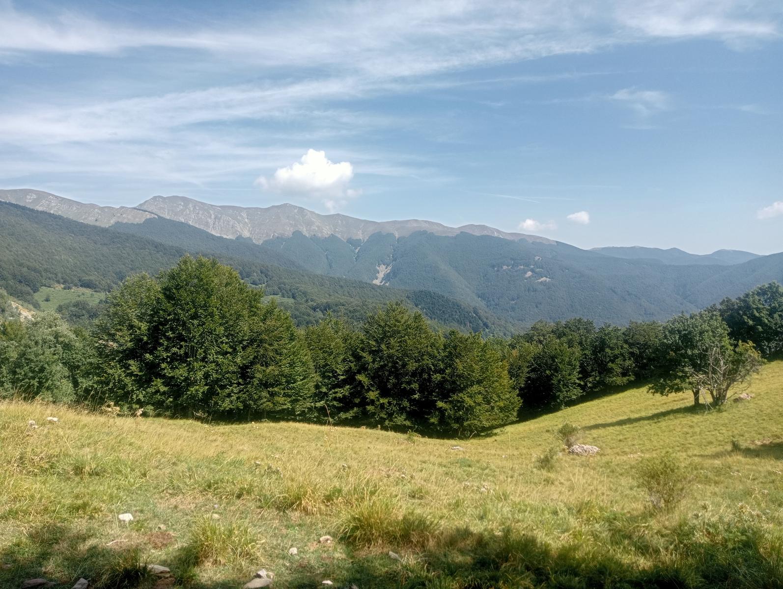 Pania di Corfino - foto 15