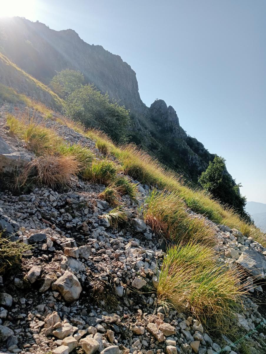 Pania di Corfino - foto 20