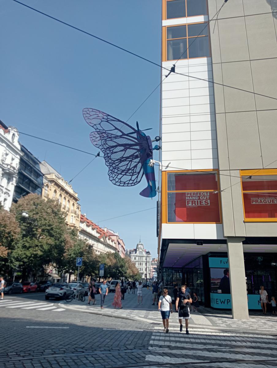 Praga Giorno 1 - foto 12