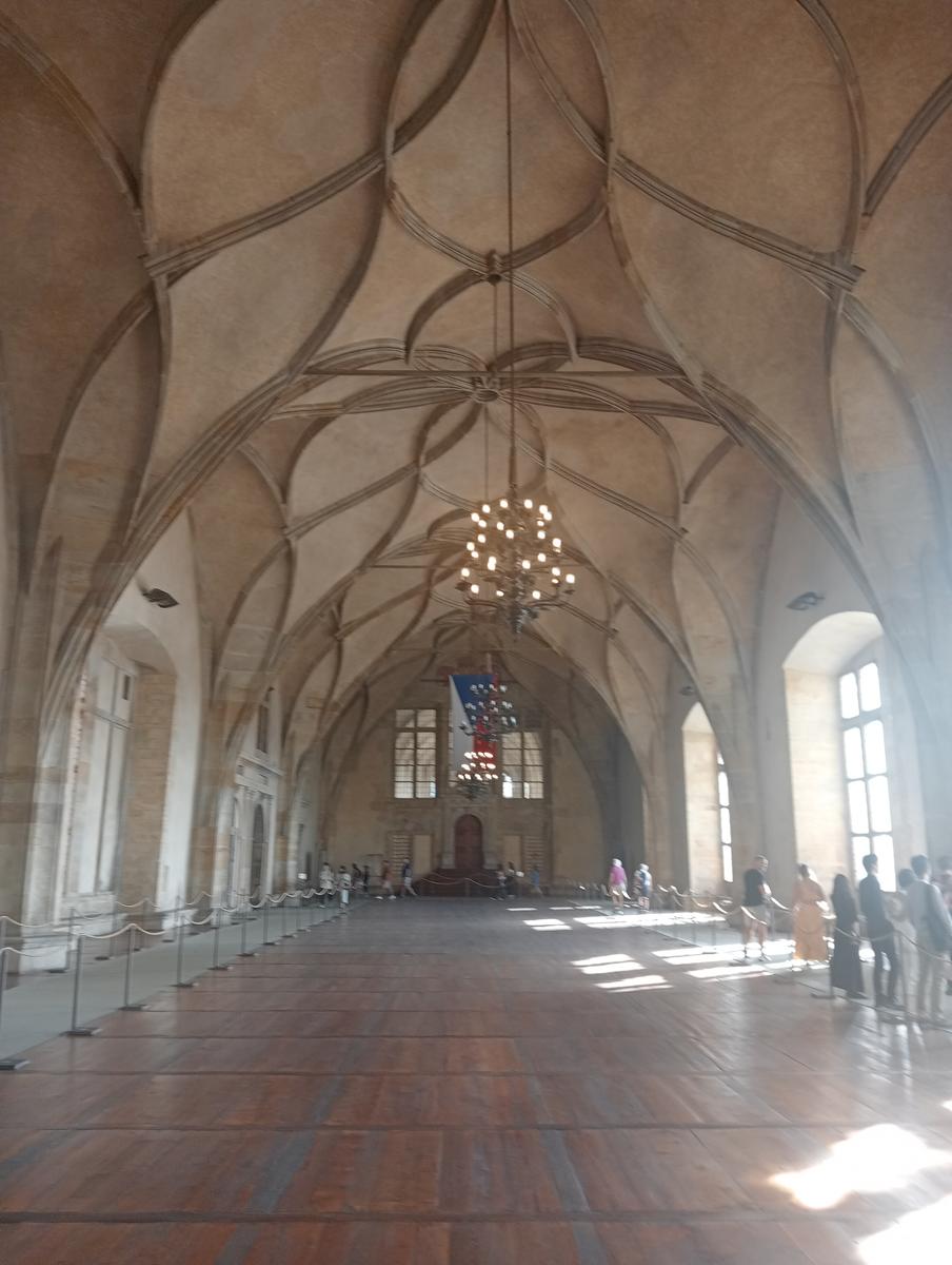 Praga giorno 2 Catedral de San Vito, Basílica de San Jorge e Iglesia de San Nicolás da Praha-Nové Město - foto 19