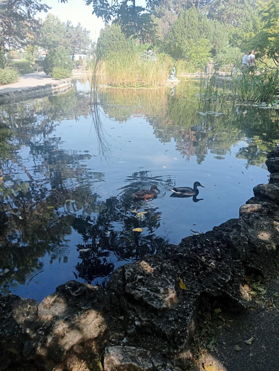 Monumento a los zapatos, Basílica de San Esteban e Gran Sinagoga da Gellérthegy - foto 7