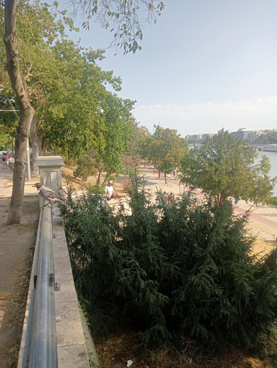 Monumento a los zapatos, Basílica de San Esteban e Gran Sinagoga da Gellérthegy - foto 19